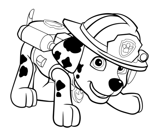 Paw Patrol_Book_1